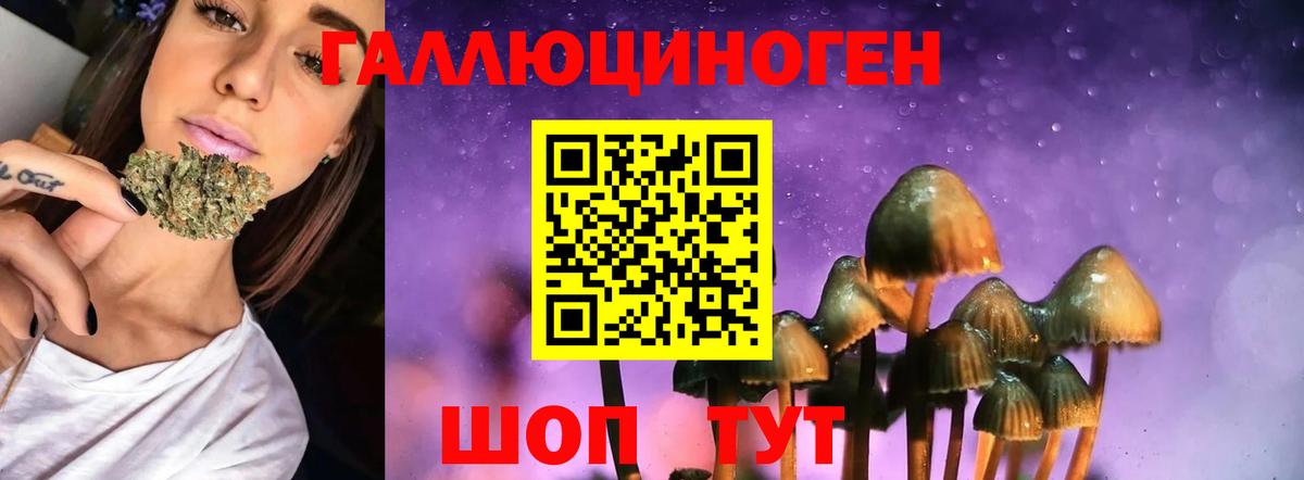 Псилоцибиновые грибы GOLDEN TEACHER  Псилоцибиновые грибы Psilocybine cubensis  где купить наркоту  Крымск  Вход с VPN 
